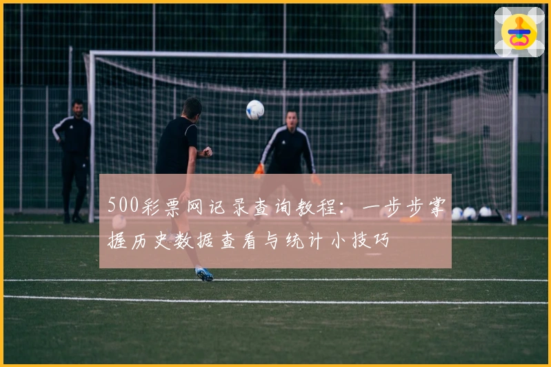 500彩票网记录查询教程：一步步掌握历史数据查看与统计小技巧